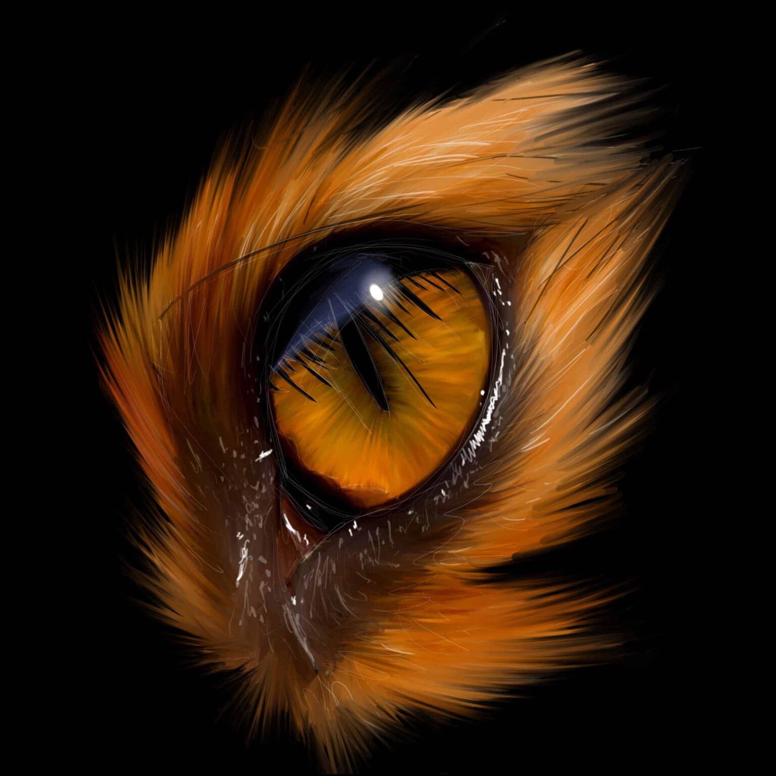 Œil de renard, iris orange à pupille en fente, poils roux en étoile sur fond noir.