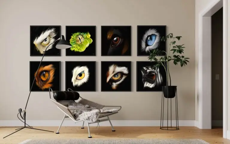 Eye Owl, vue 4