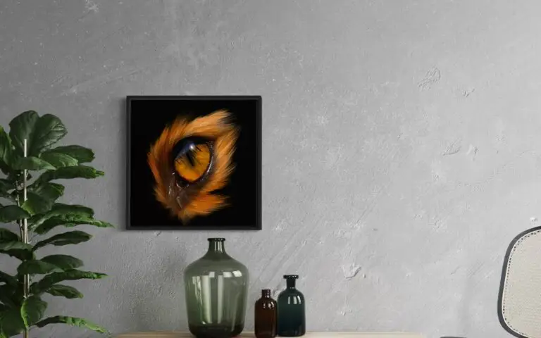 Eye Fox, vue 1