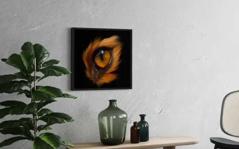 Eye Fox, vue 2