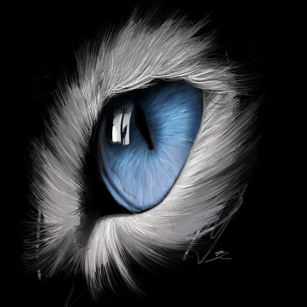 Crealab - Peinture Bestiaire eye Cat - Jocelyn Bouget