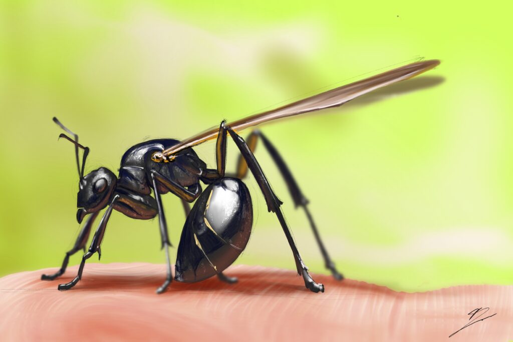 Crealab - Peinture Bestiaire Fourmie - Jocelyn Bouget