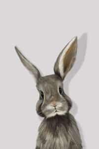 Crealab - Peinture Bestiaire Lapin - Jocelyn Bouget