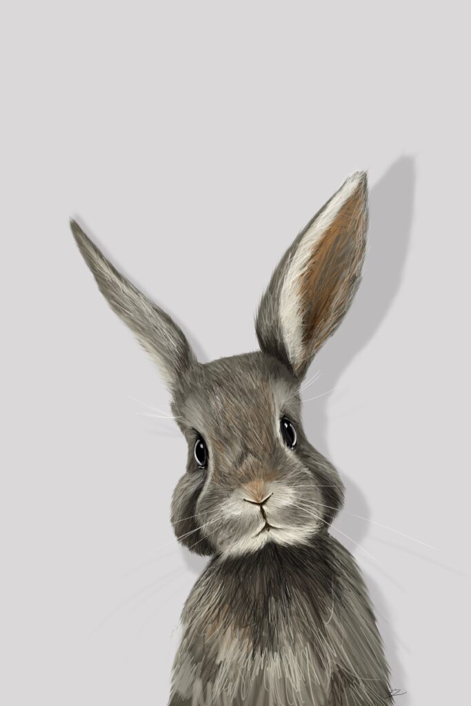 Crealab - Peinture Bestiaire Lapin - Jocelyn Bouget