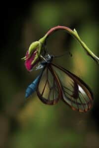 Crealab - Peinture Bestiaire Greta Hoto - Jocelyn Bouget