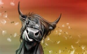 Crealab - Peinture Bestiaire Cow - Jocelyn Bouget