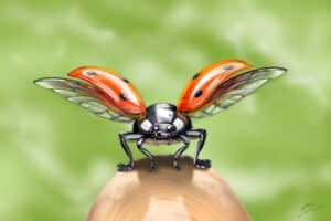 Crealab - Peinture Bestiaire LadyBug - Jocelyn Bouget