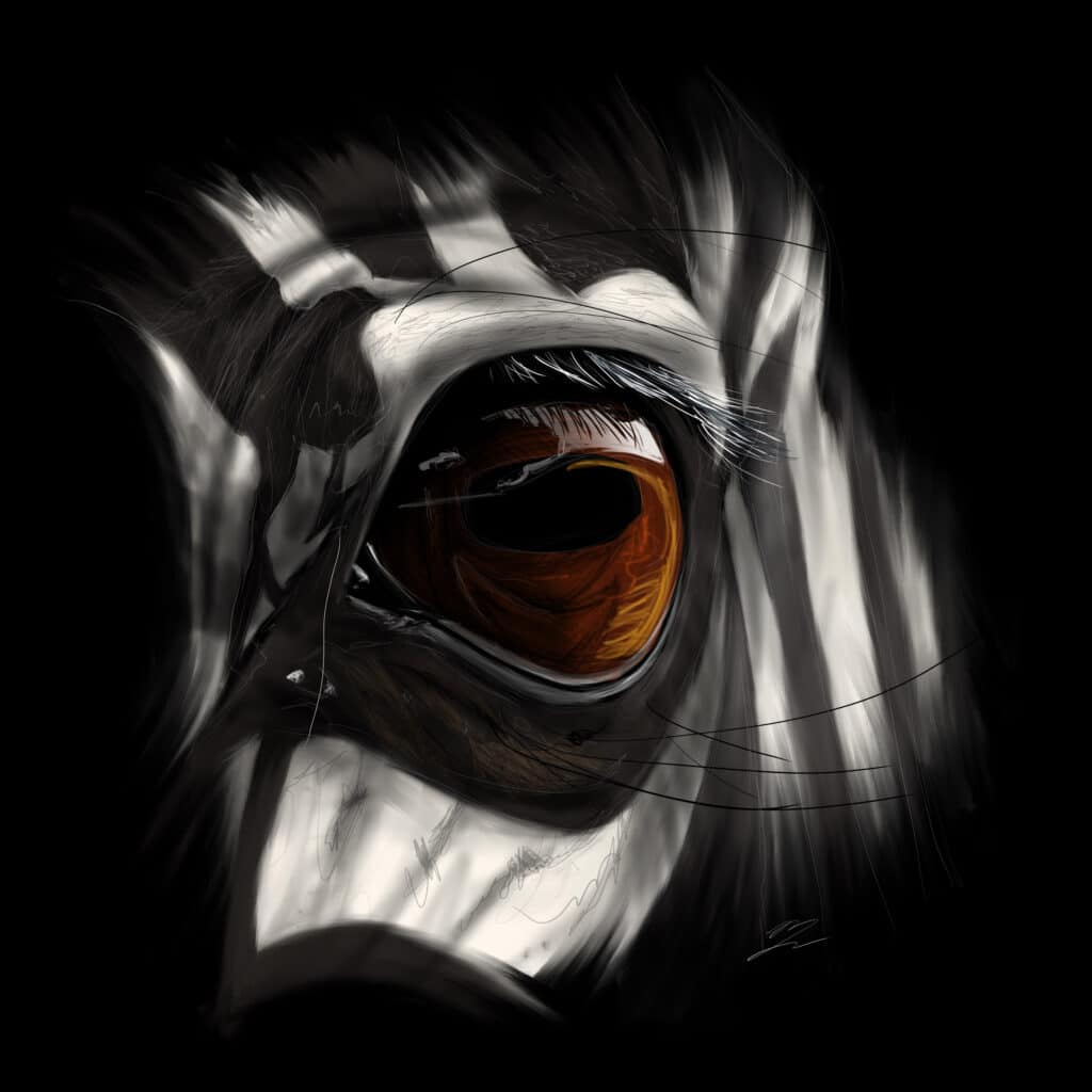 Crealab - Peinture Bestiaire eye Zebra - Jocelyn Bouget