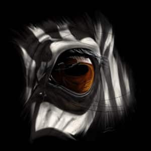 Crealab - Peinture Bestiaire eye Zebra - Jocelyn Bouget