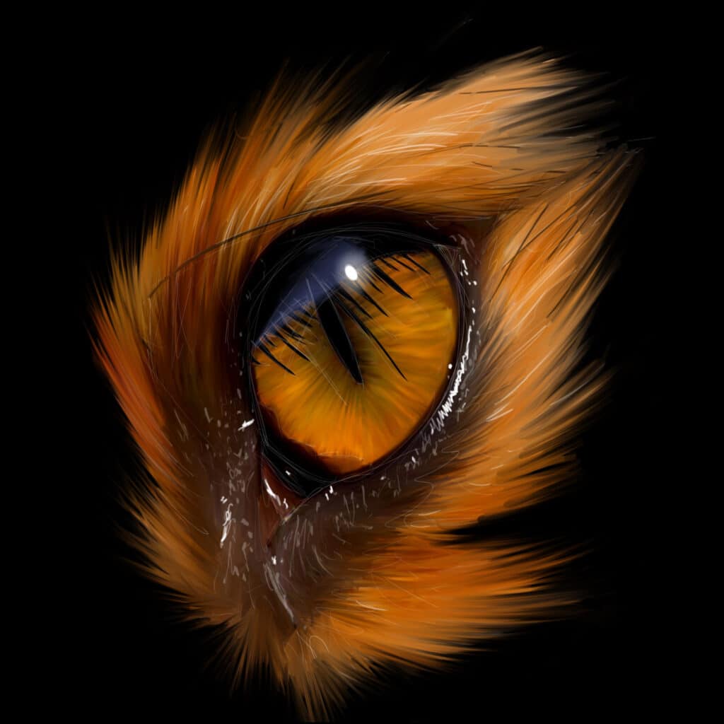 Crealab - Peinture Bestiaire eye Fox - Jocelyn Bouget