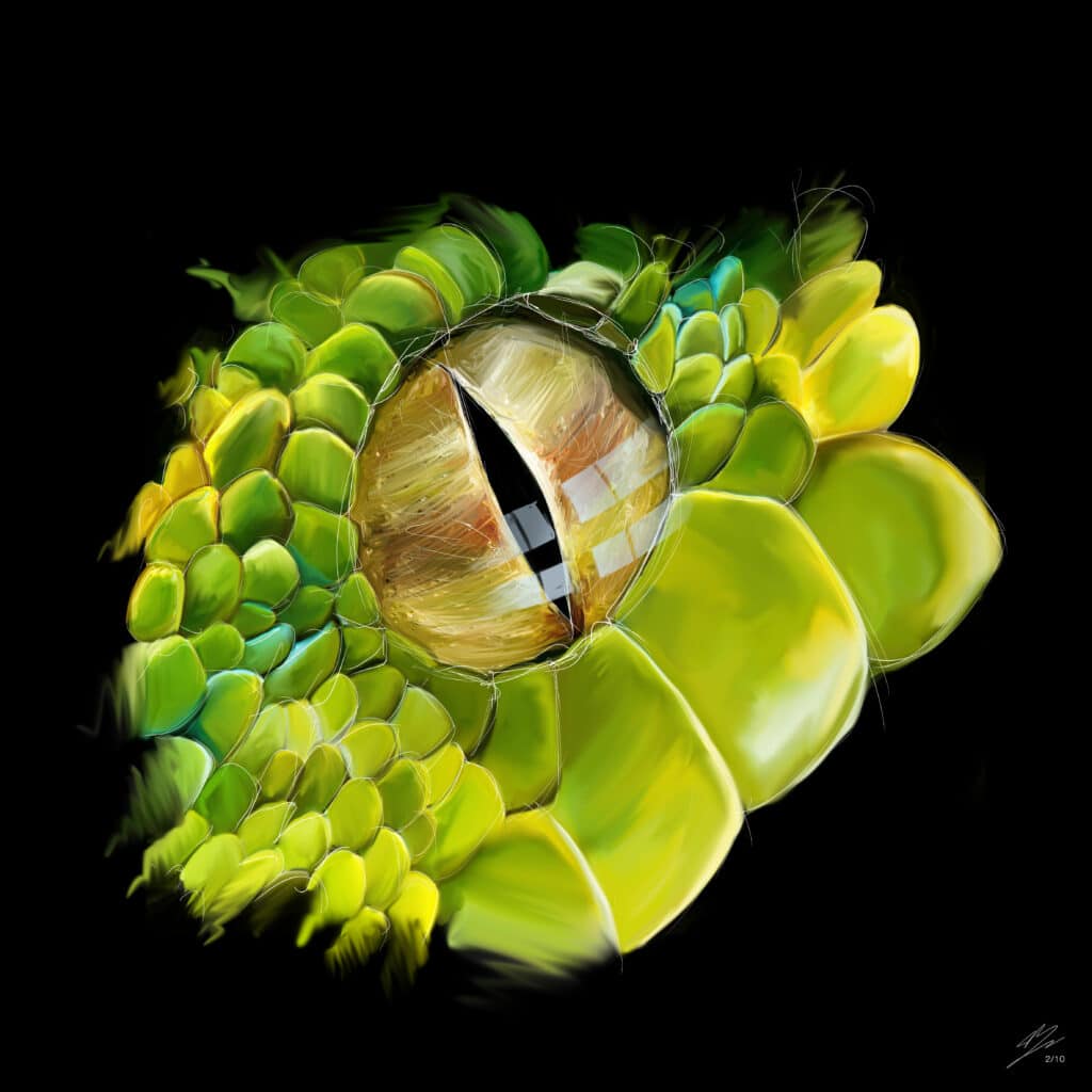 Crealab - Peinture Bestiaire eye Snake - Jocelyn Bouget