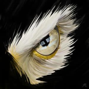 Crealab - Peinture Bestiaire eye Eagle - Jocelyn Bouget