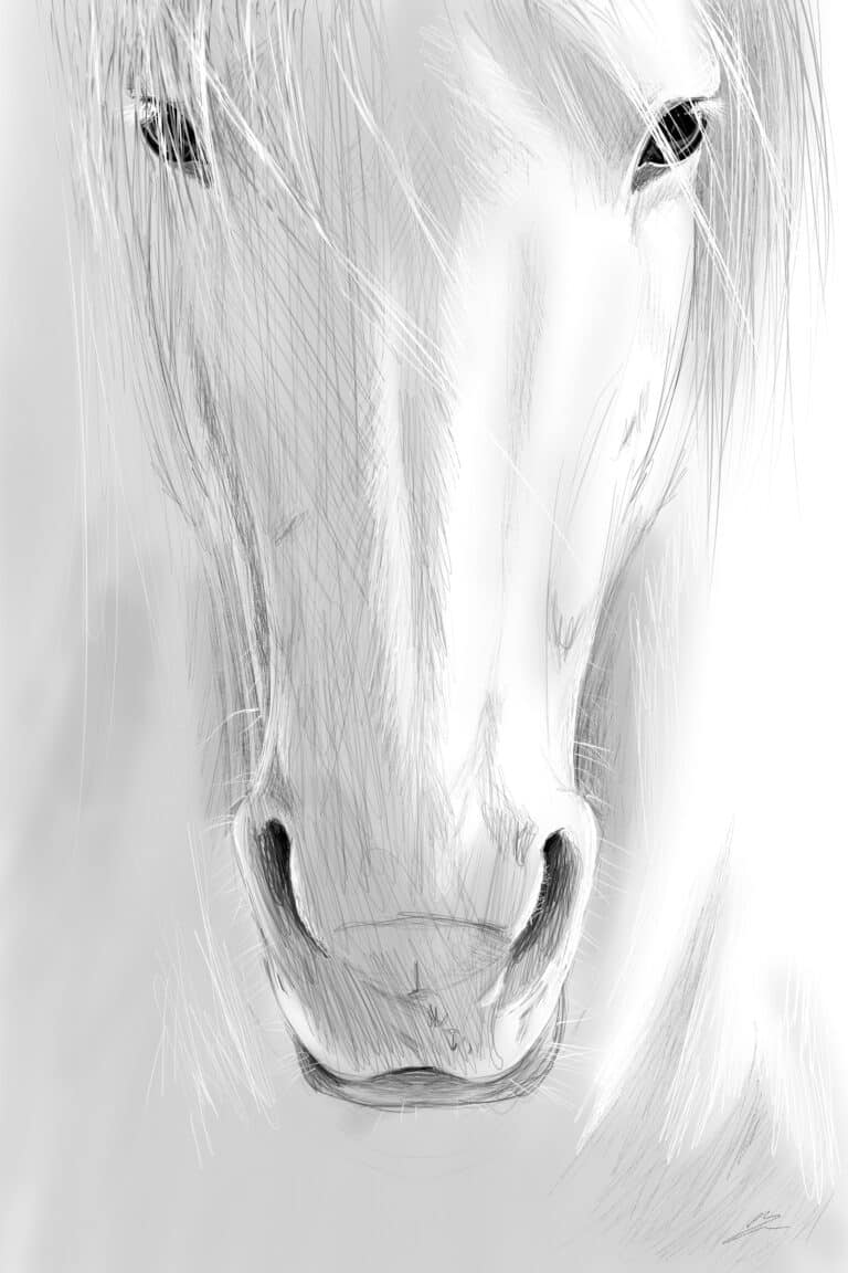 Crealab - Peinture Bestiaire Horse - Jocelyn Bouget