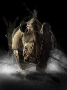 Crealab - Peinture Bestiaire Rhino - Jocelyn Bouget