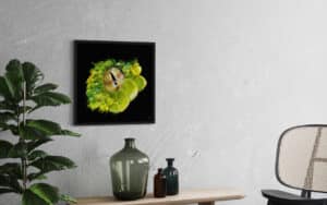 Crealab - Peinture Bestiaire eye Snake - Jocelyn Bouget