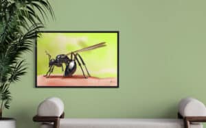 Crealab - Peinture Bestiaire Fourmie - Jocelyn Bouget