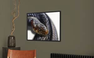 Crealab - Peinture Bestiaire Snake - Jocelyn Bouget