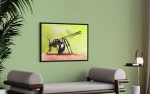 Crealab - Peinture Bestiaire Fourmie - Jocelyn Bouget