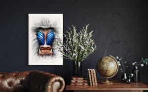 Crealab - Peinture Bestiaire Mandrill - Jocelyn Bouget