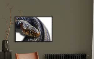 Crealab - Peinture Bestiaire Snake - Jocelyn Bouget