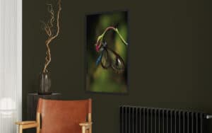 Crealab - Peinture Bestiaire Greta Hoto - Jocelyn Bouget