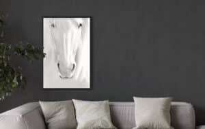 Crealab - Peinture Bestiaire Horse - Jocelyn Bouget