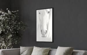 Crealab - Peinture Bestiaire Horse - Jocelyn Bouget