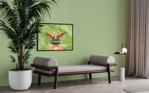 Crealab - Peinture Bestiaire LadyBug - Jocelyn Bouget