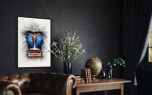 Crealab - Peinture Bestiaire Mandrill - Jocelyn Bouget