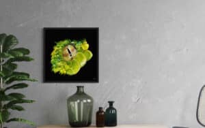 Crealab - Peinture Bestiaire eye Snake - Jocelyn Bouget